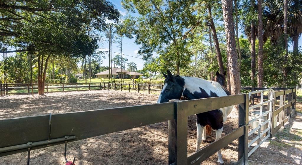 17191 38th Road North Loxahatchee, FL 33470 - Photo 59 of 60 a view of outdoor space and yard