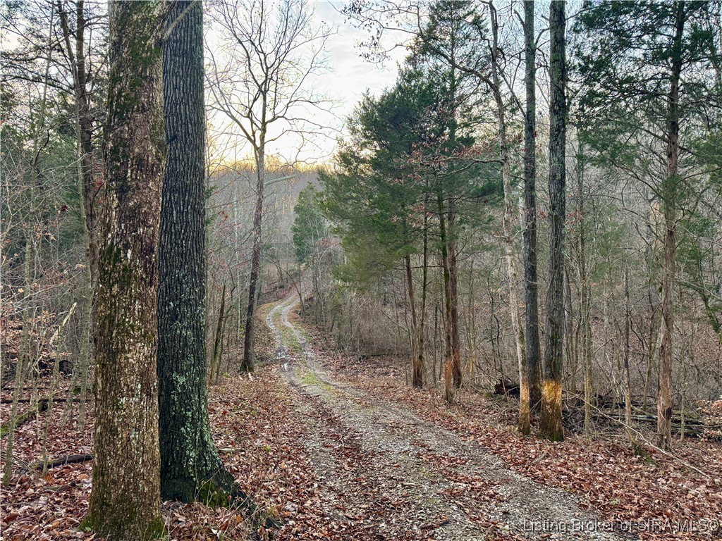 E Side North Rinkers Creek Road Salem, IN 47167 - Photo 2 of 48
