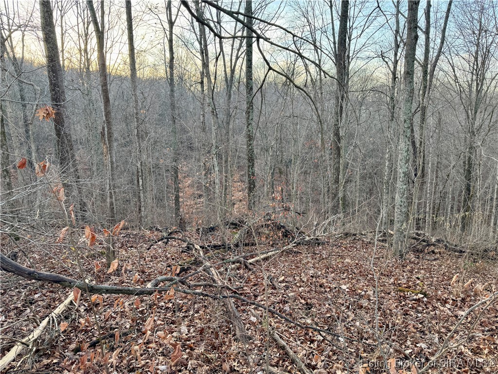 E Side North Rinkers Creek Road Salem, IN 47167 - Photo 21 of 48