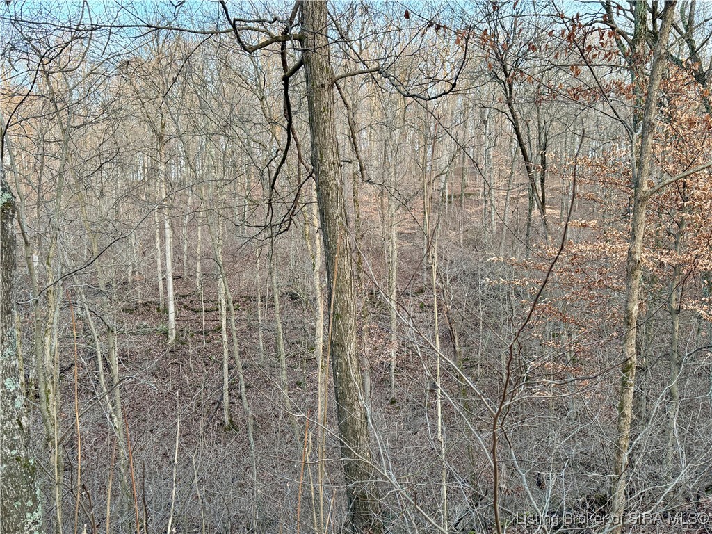 E Side North Rinkers Creek Road Salem, IN 47167 - Photo 29 of 48