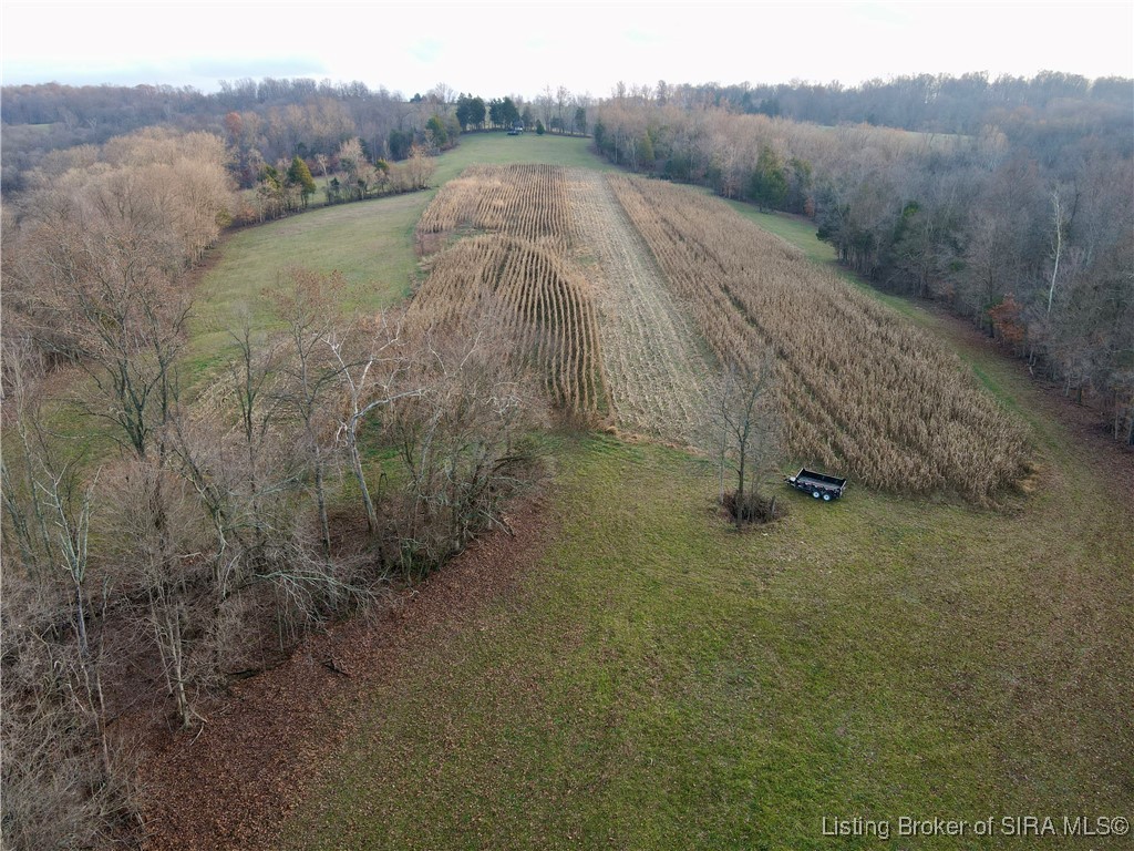 E Side North Rinkers Creek Road Salem, IN 47167 - Photo 4 of 48
