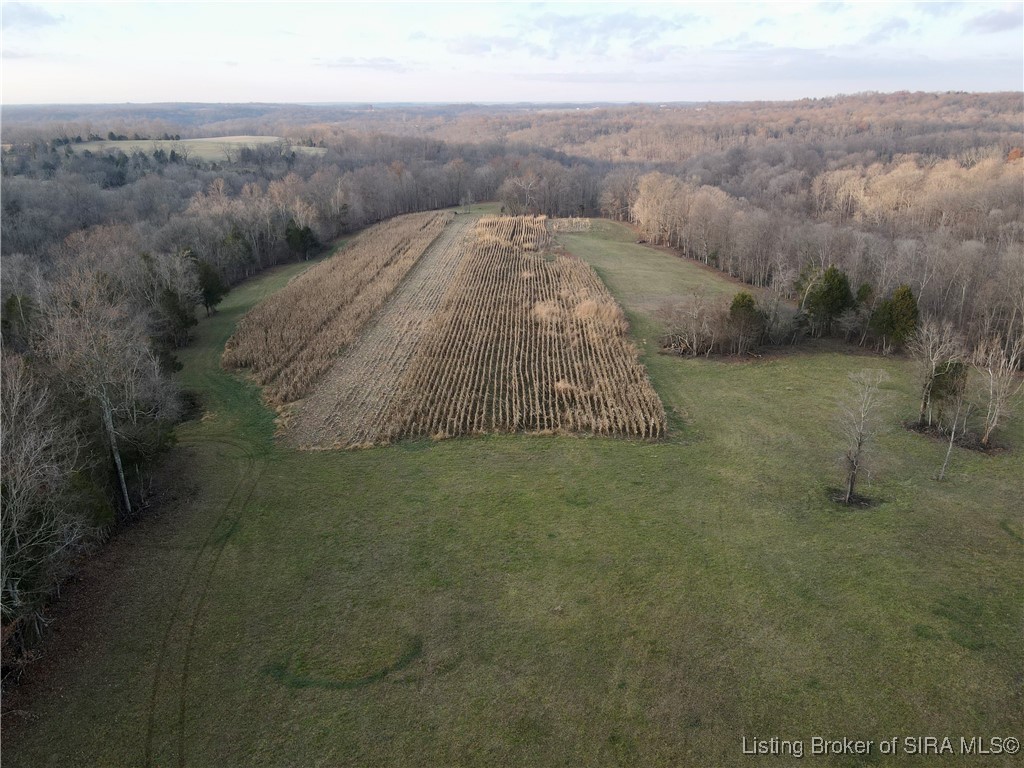 E Side North Rinkers Creek Road Salem, IN 47167 - Photo 5 of 48