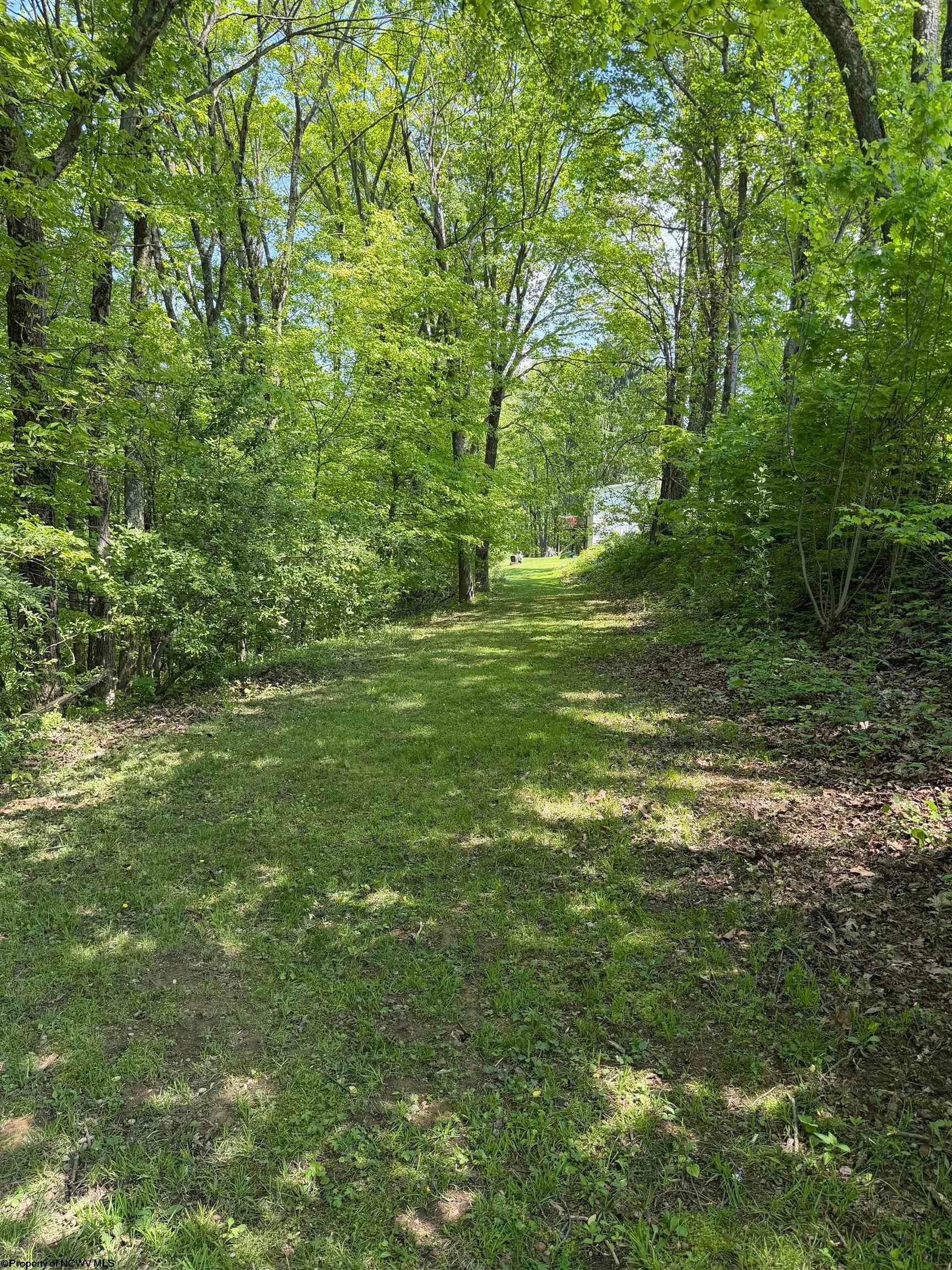 4900 Grafton Road Independence, WV 26374 - Photo 4 of 27 Gallery Image 4