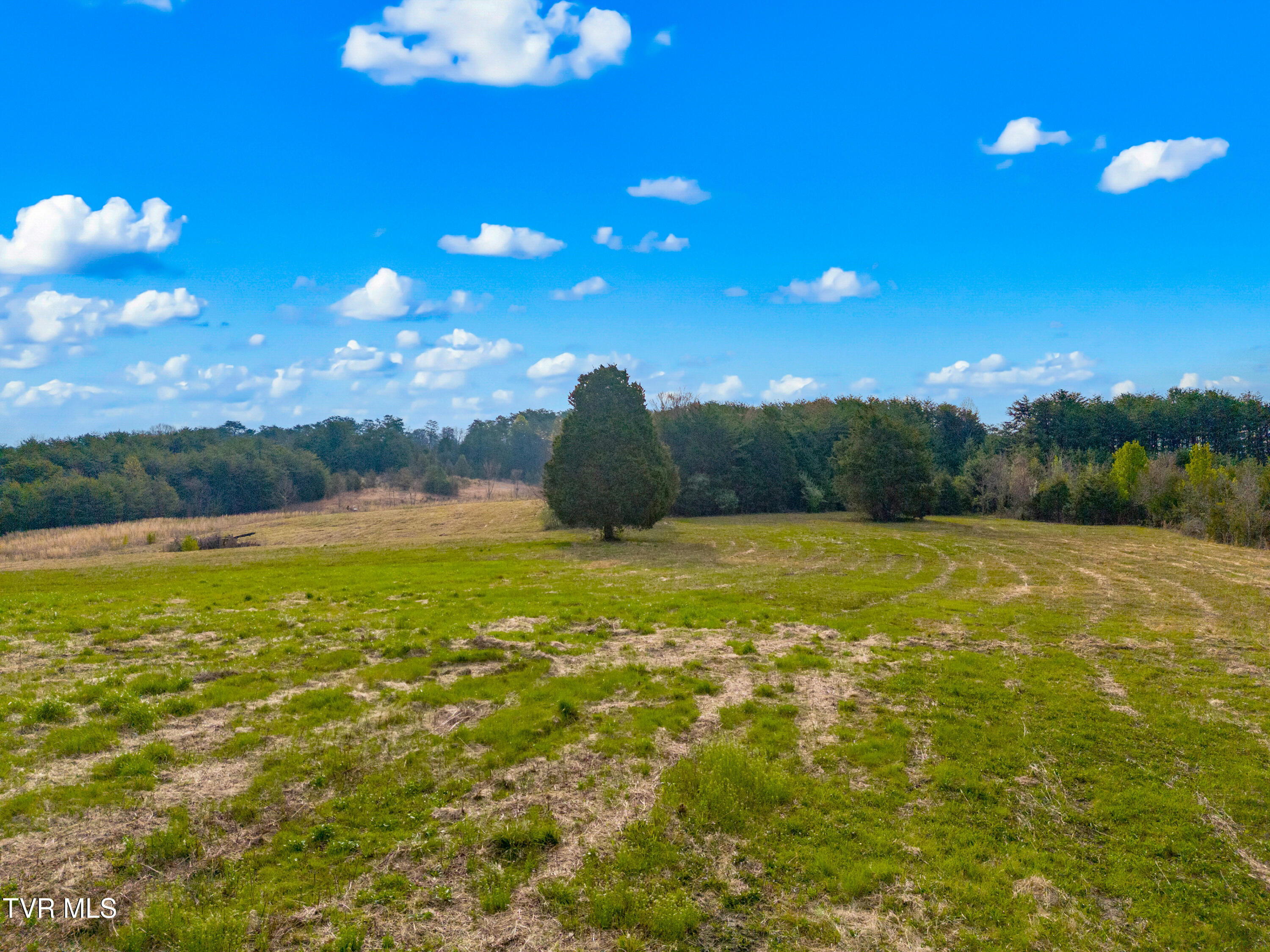 245 Phillipi Road Mohawk, TN 37810 - Photo 32 of 35 039-245PhillipiRoad-Mohawk-TN-37810-FULL