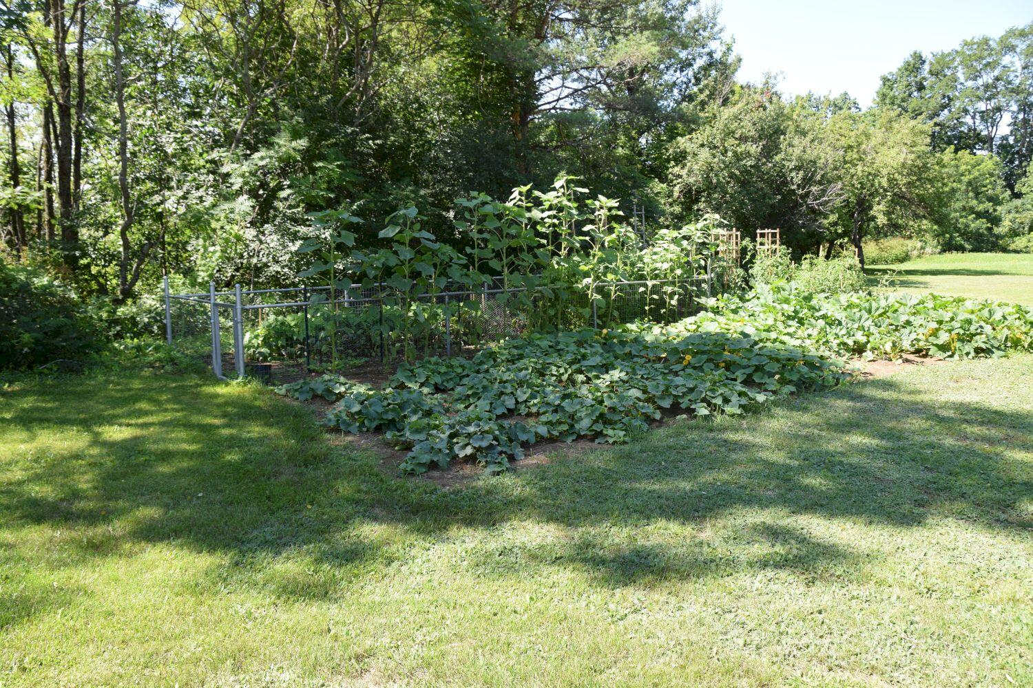 4 New Portland Road North Anson, ME 04958 - Photo 66 of 74 DSC_0007