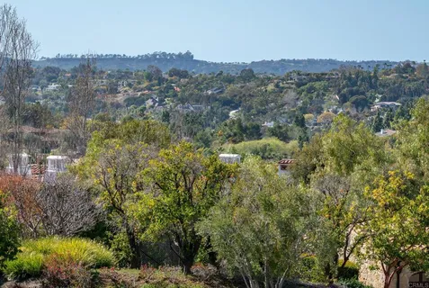 a view of dirt field with trees in the background