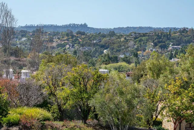 a view of dirt field with trees in the background