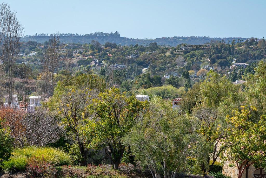 6241 Strada Fragante Rancho Santa Fe, CA 92091 - Photo 17 of 36 a view of a city