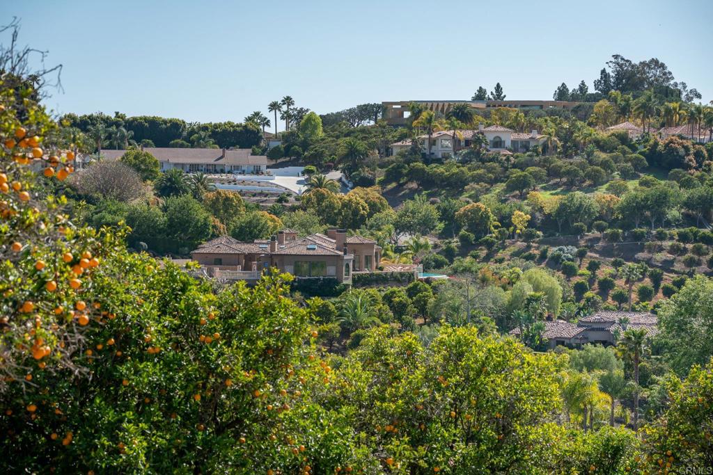 6241 Strada Fragante Rancho Santa Fe, CA 92091 - Photo 18 of 36 an aerial view of multiple house