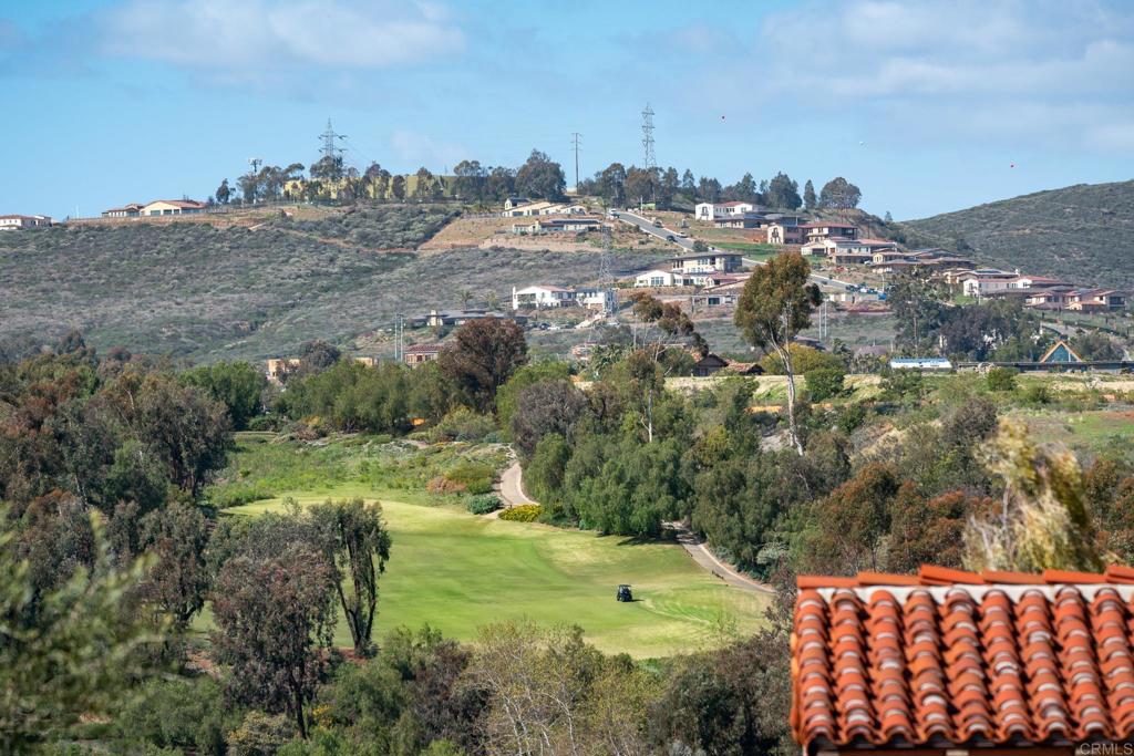 6241 Strada Fragante Rancho Santa Fe, CA 92091 - Photo 19 of 36 a view of a city