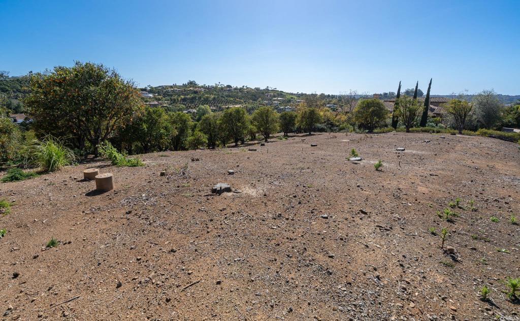 6241 Strada Fragante Rancho Santa Fe, CA 92091 - Photo 20 of 36 a view of dirt field with trees in the background