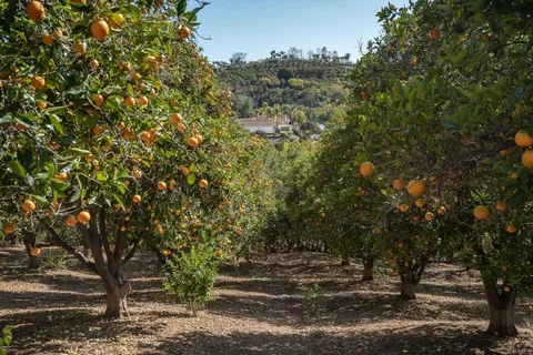 a close up of a white sink