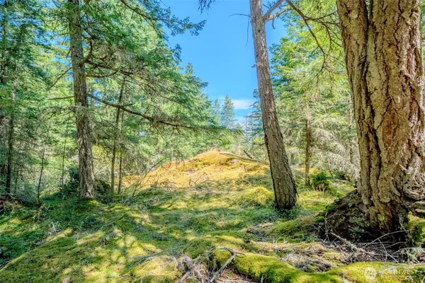 $299,000 | 678 Swan Road, Orcas Island, WA 98245