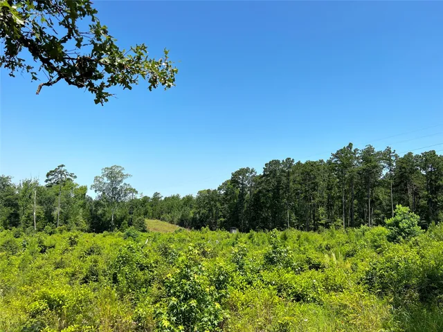 $95,000 | 4 West Carters Ferry Road, Milam, TX 75959