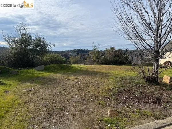 a view of a field with an trees