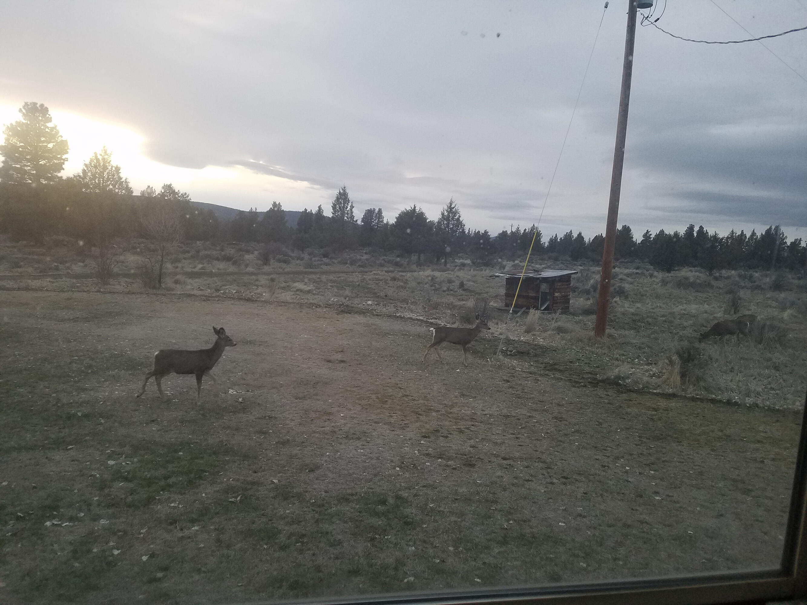 16511 Fishhole Creek Road Bly, OR 97622 - Photo 96 of 96 00201