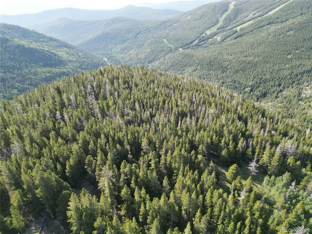 $38,000 | 0 4th Of July Road, Nederland, CO 80466