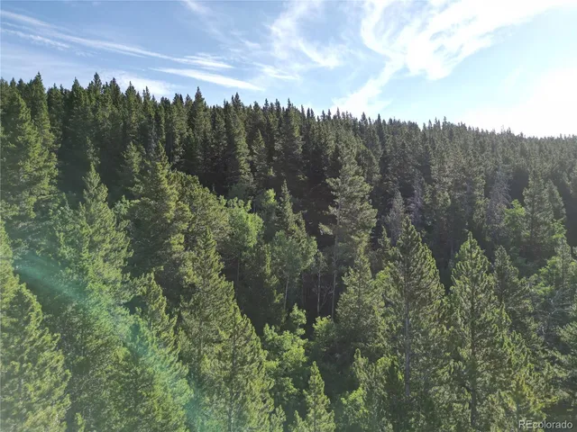 $38,000 | 0 4th Of July Road, Nederland, CO 80466