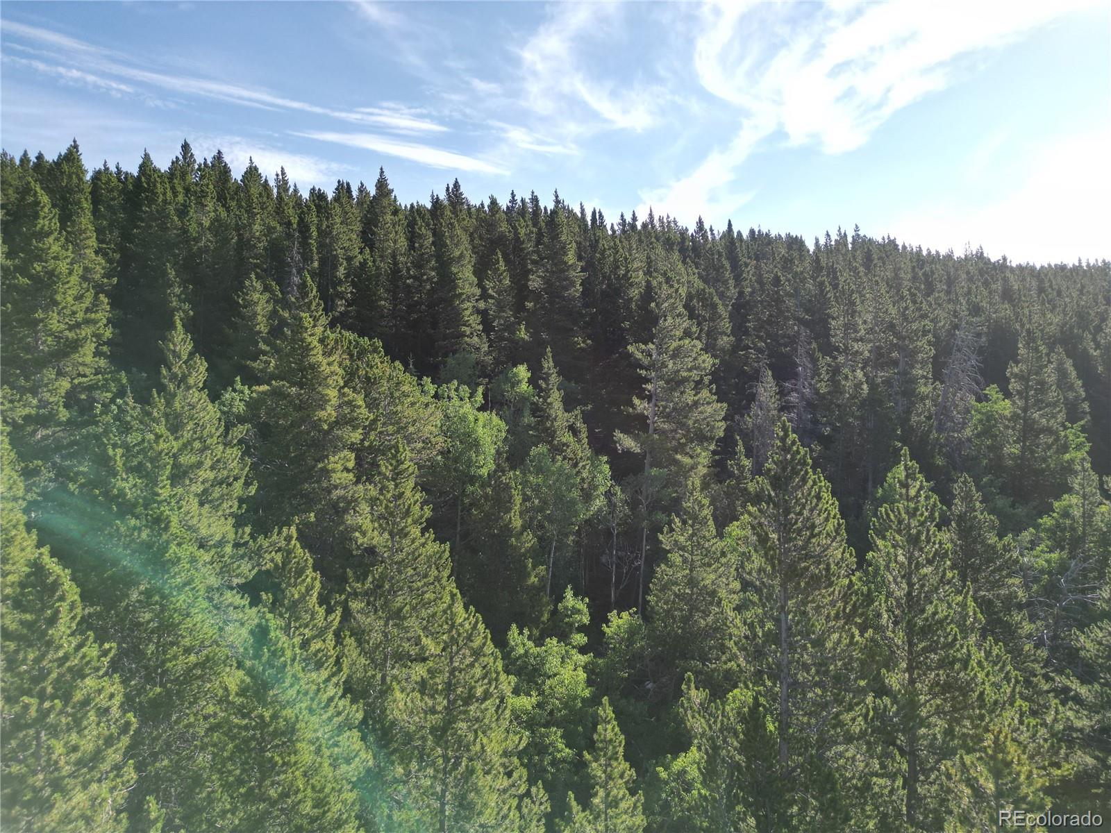 0 4th Of July Road Nederland, CO 80466 - Photo 19 of 24