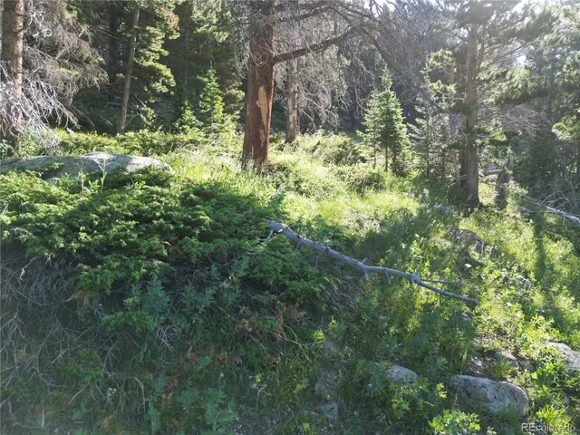 $38,000 | 0 4th Of July Road, Nederland, CO 80466