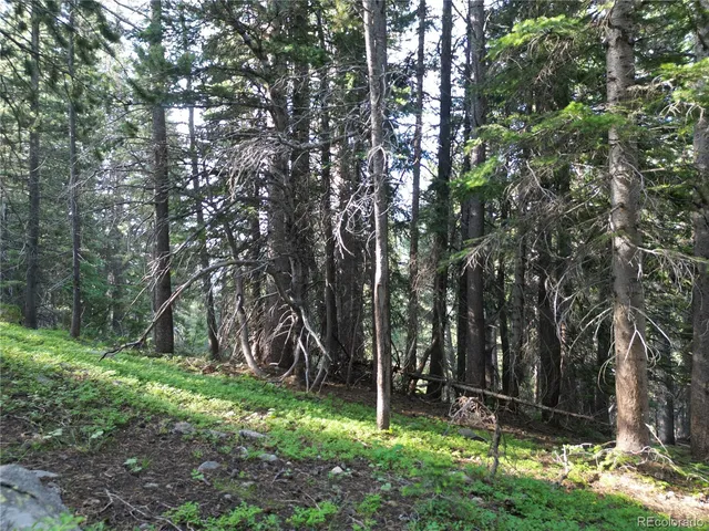 $38,000 | 0 4th Of July Road, Nederland, CO 80466