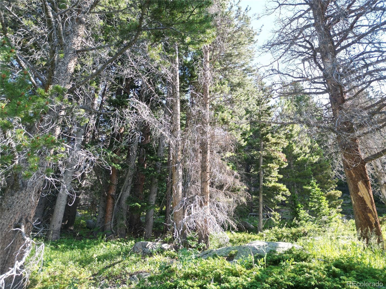 0 4th Of July Road Nederland, CO 80466 - Photo 21 of 24