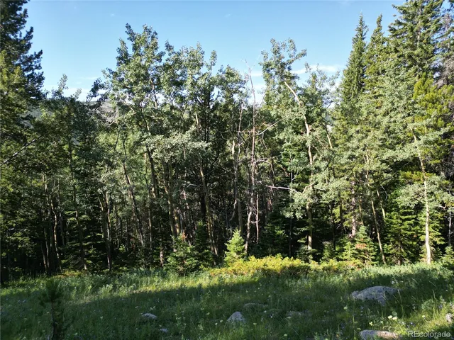$38,000 | 0 4th Of July Road, Nederland, CO 80466
