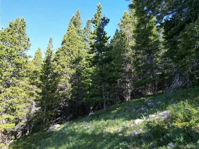 $38,000 | 0 4th Of July Road, Nederland, CO 80466