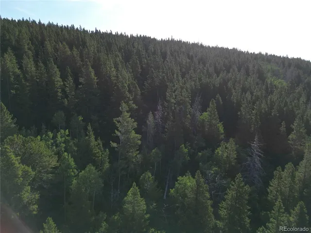 $38,000 | 0 4th Of July Road, Nederland, CO 80466