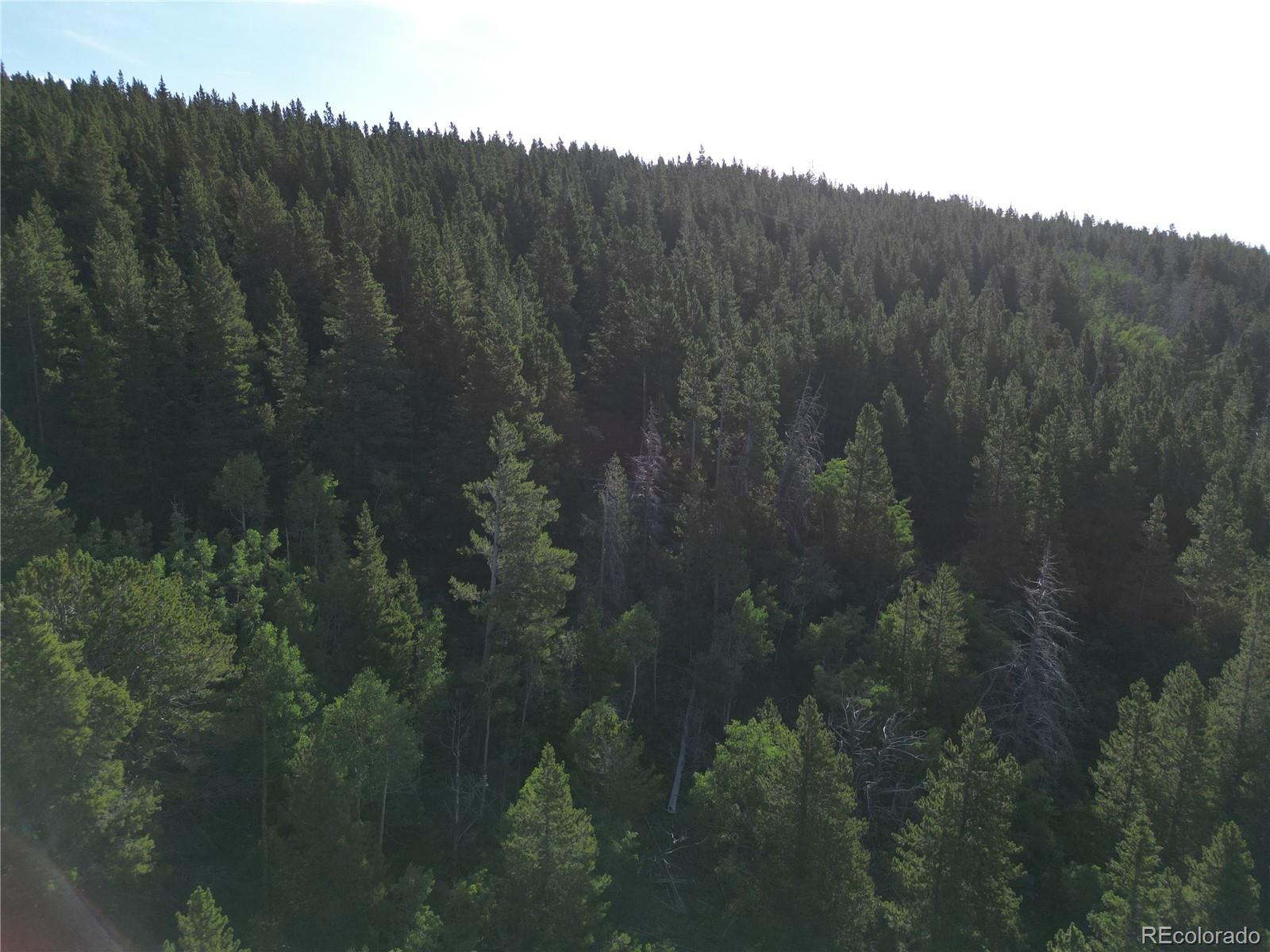 0 4th Of July Road Nederland, CO 80466 - Photo 4 of 24