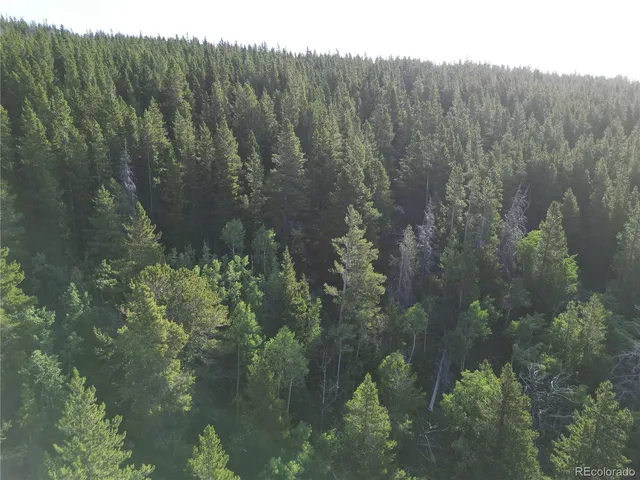 $38,000 | 0 4th Of July Road, Nederland, CO 80466