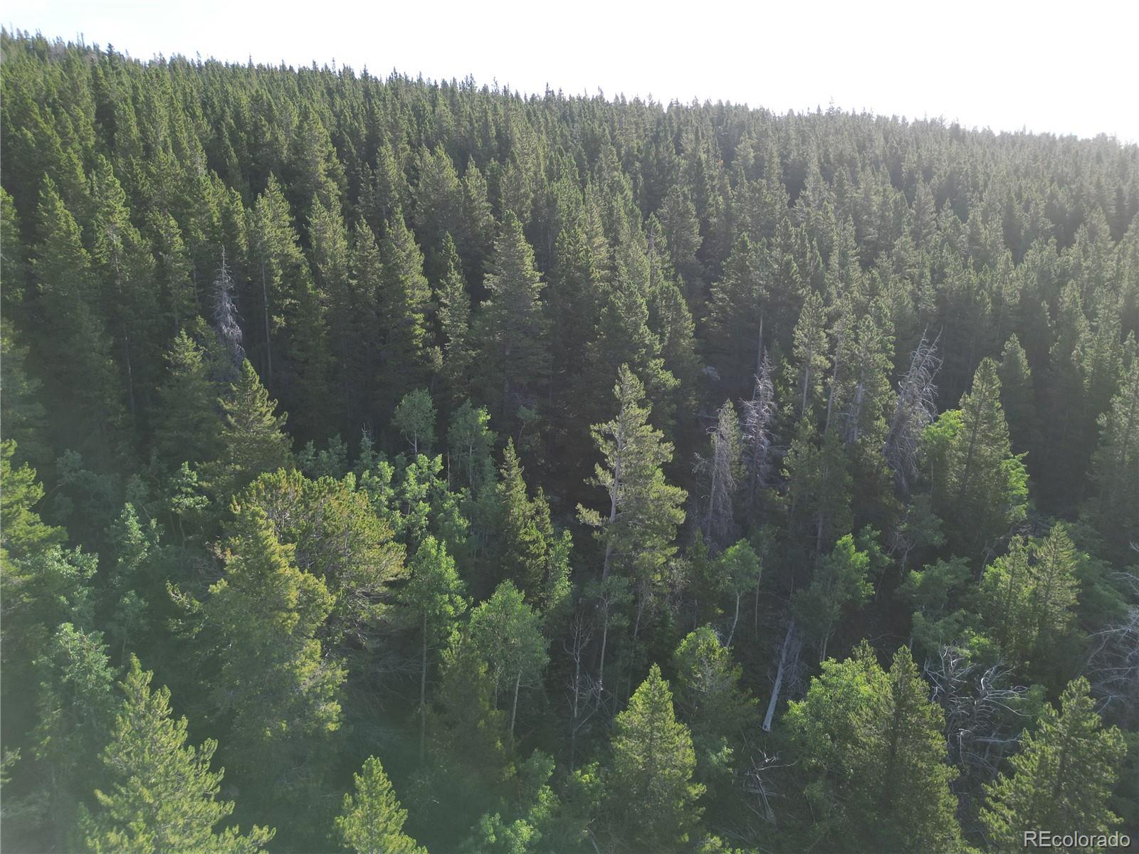 0 4th Of July Road Nederland, CO 80466 - Photo 5 of 24