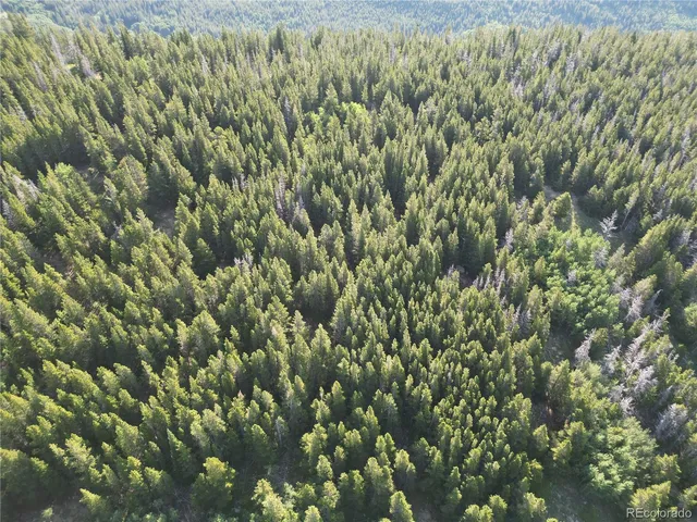 $38,000 | 0 4th Of July Road, Nederland, CO 80466