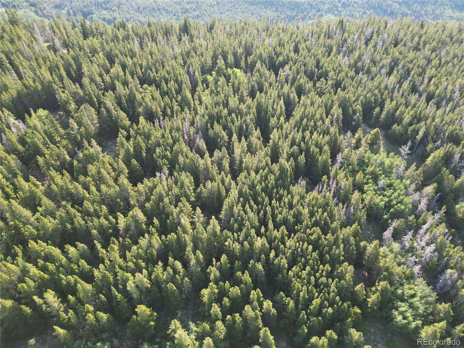 0 4th Of July Road Nederland, CO 80466 - Photo 6 of 24