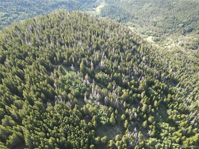 $38,000 | 0 4th Of July Road, Nederland, CO 80466