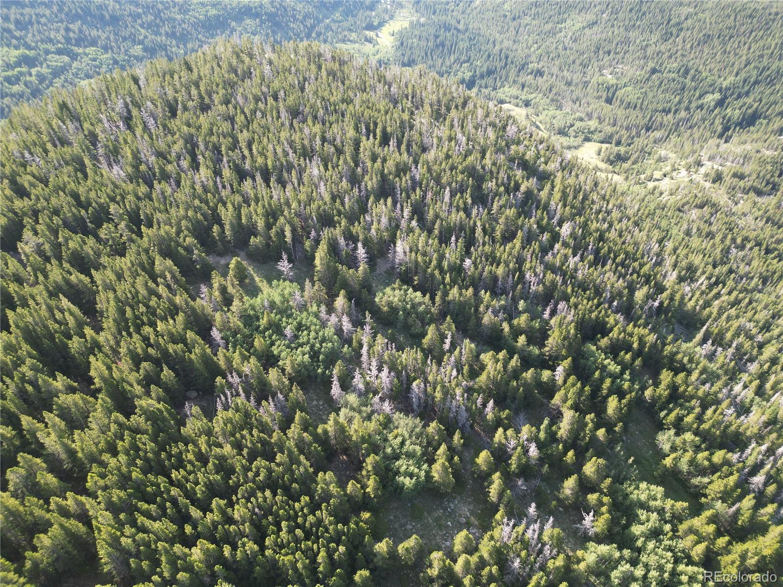 0 4th Of July Road Nederland, CO 80466 - Photo 7 of 24