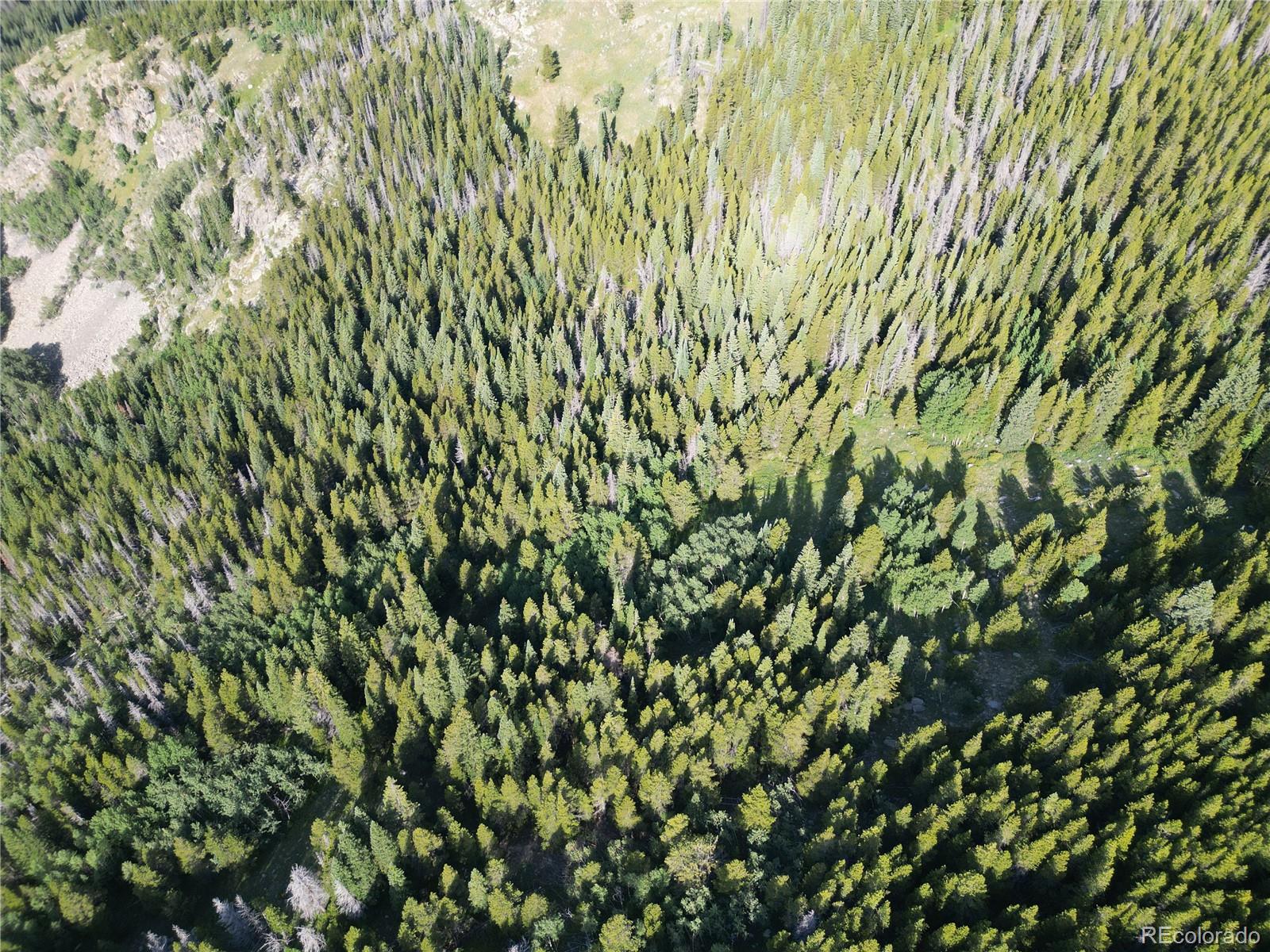 0 4th Of July Road Nederland, CO 80466 - Photo 8 of 24