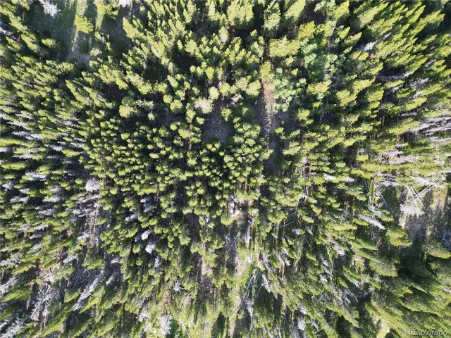 $38,000 | 0 4th Of July Road, Nederland, CO 80466