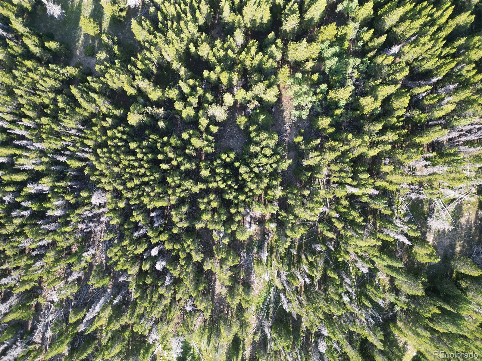 0 4th Of July Road Nederland, CO 80466 - Photo 10 of 24