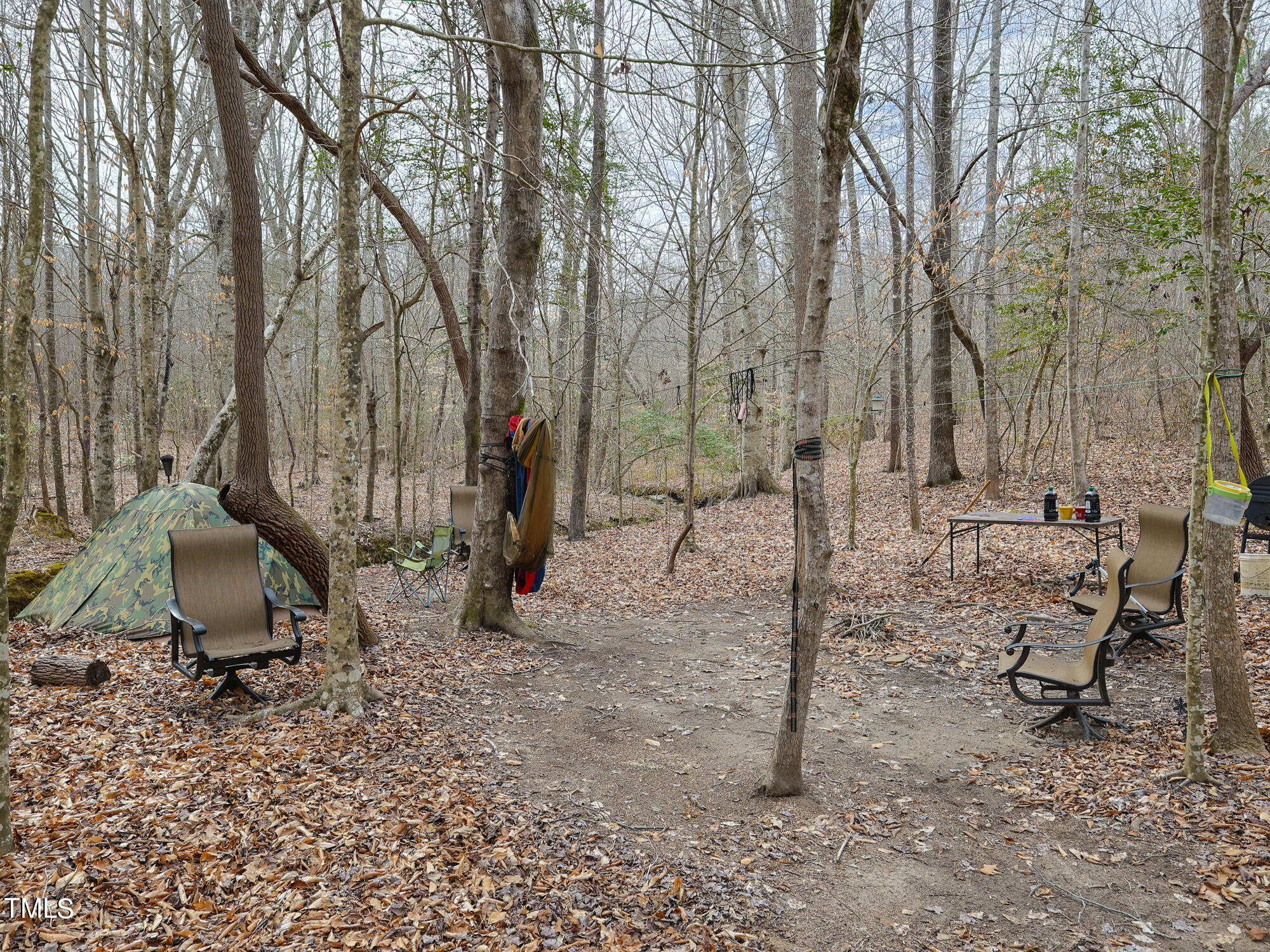 310 Sutton Road Louisburg, NC 27549 - Photo 16 of 50 The Wooded Property Offers Endless Opportunities to Surround Yourself with Nature