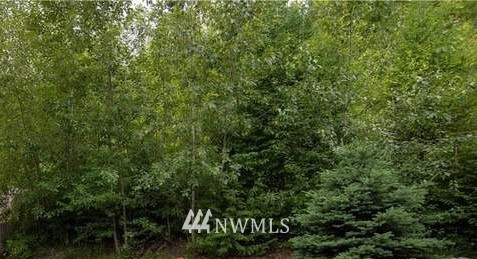 1025 West Gallagher Road Shelton, WA 98584 - Photo 1 of 2 Gallery Image 1
