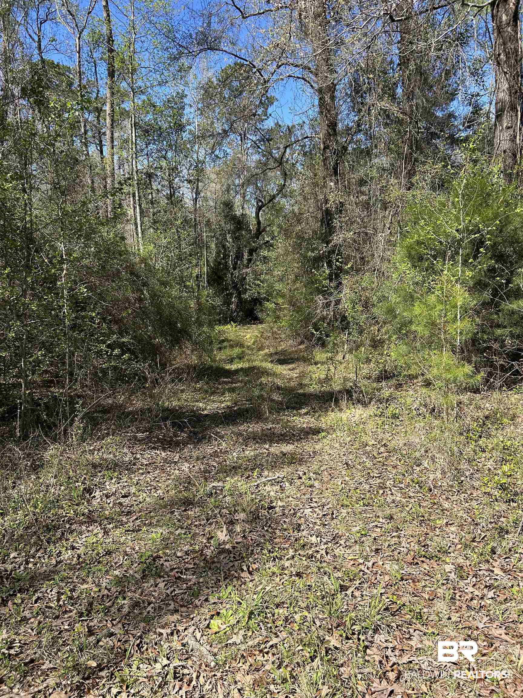 0 Fleming Lane Brewton, AL 36426 - Photo 17 of 18 View of undeveloped land