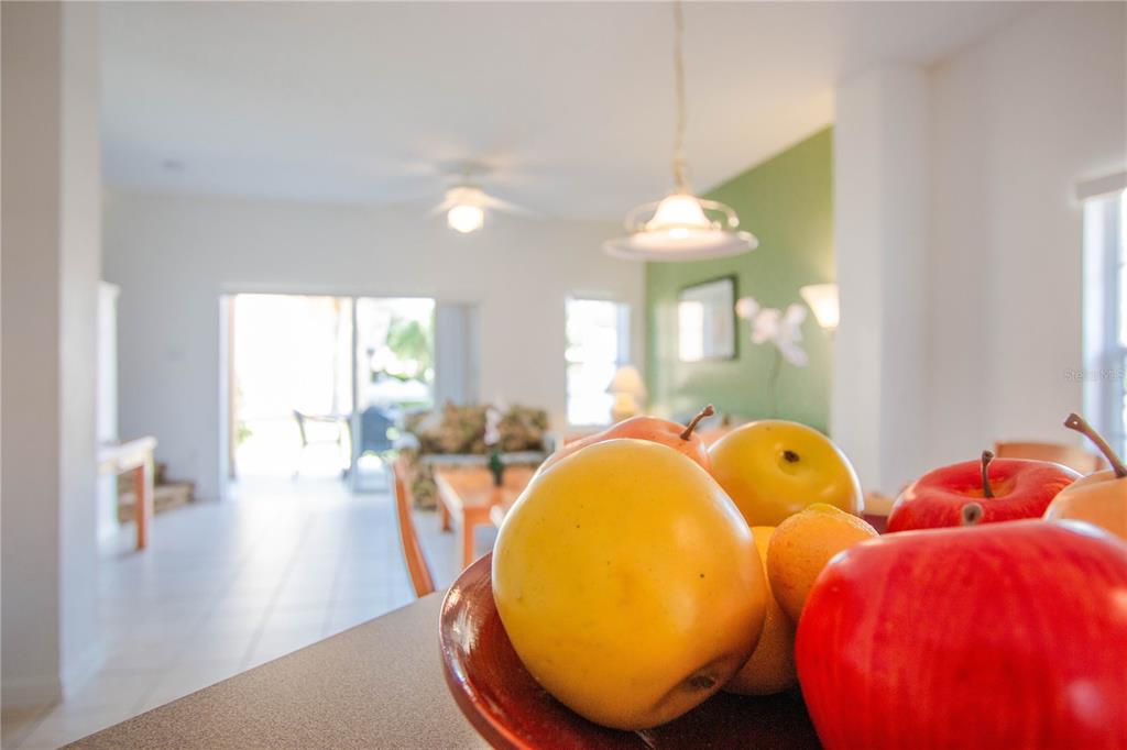 1103 Park Ridge Circle Kissimmee, FL 34746 - Photo 10 of 72 a view of a swimming pool and dining room
