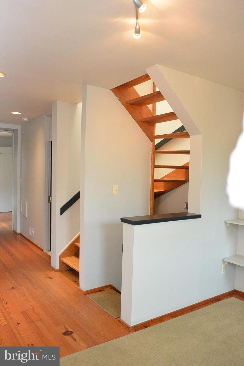 710 William Street Baltimore, MD 21230 - Photo 21 of 30