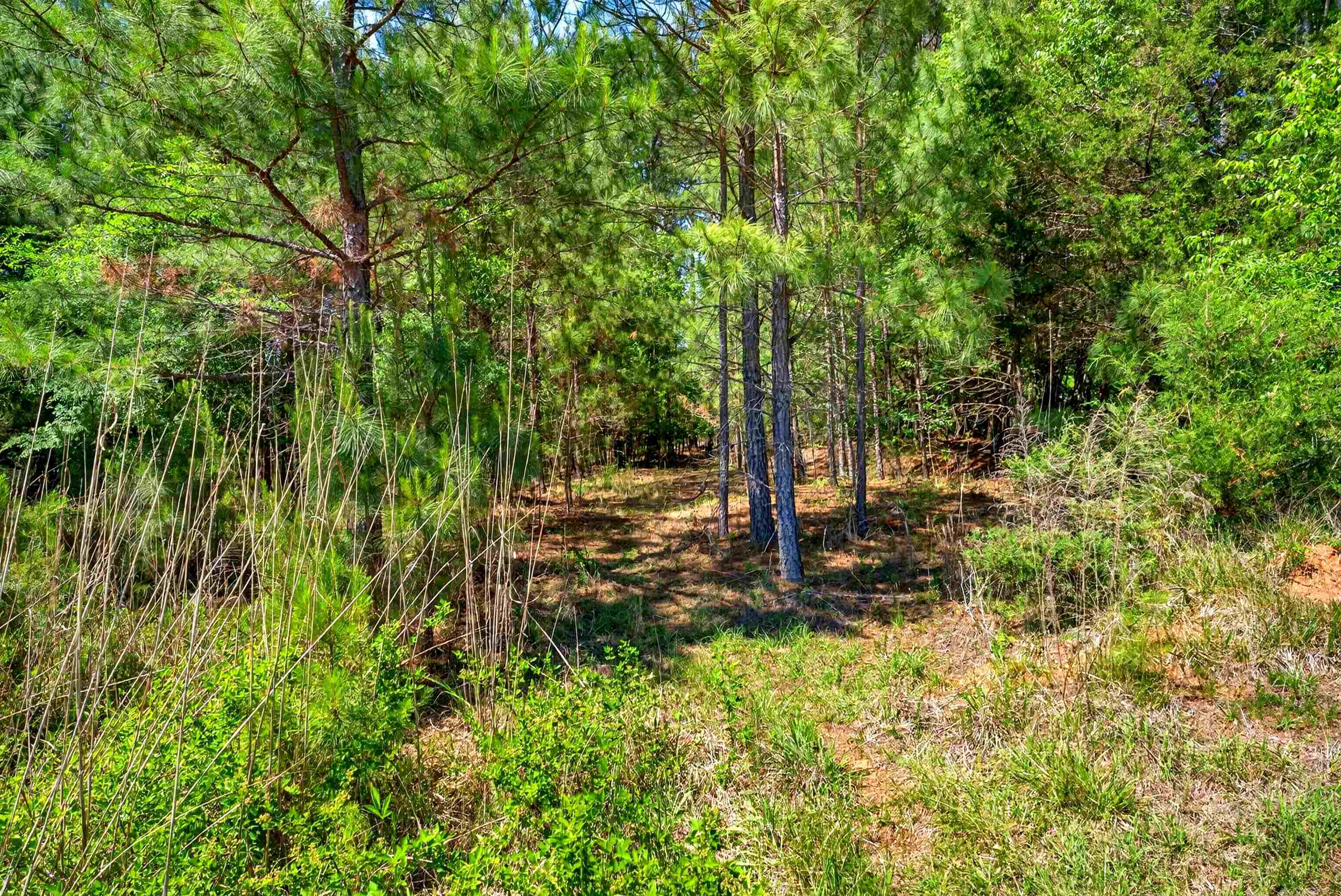 0 Gowdeysville Road Gaffney, SC 29340 - Photo 6 of 12