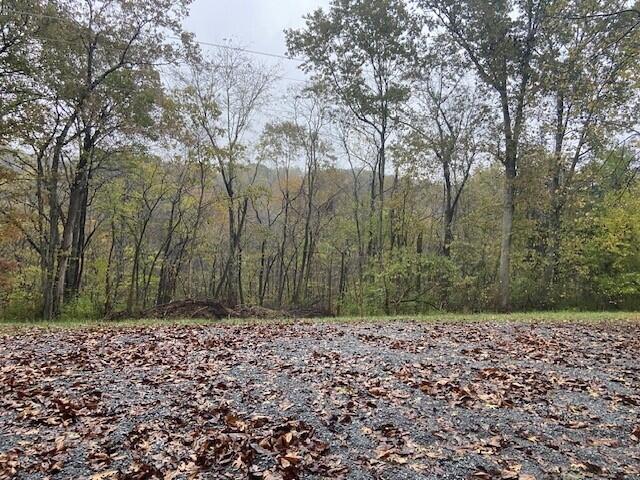 697 Galbraith Road Brooksville, KY 41004 - Photo 2 of 4