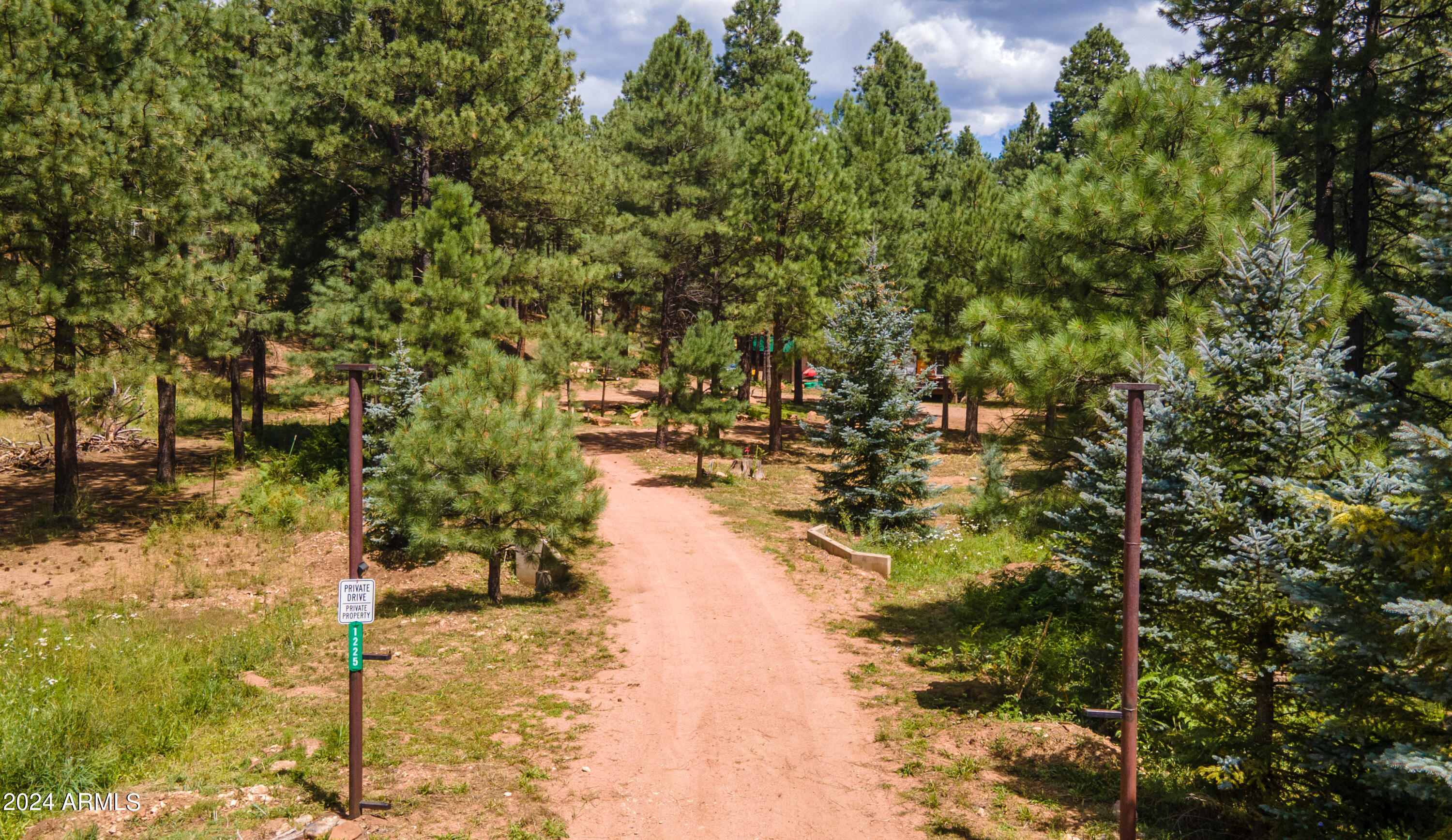 1225 Highway Loop Forest Lakes, AZ 85931 - Photo 2 of 45 a view of lake