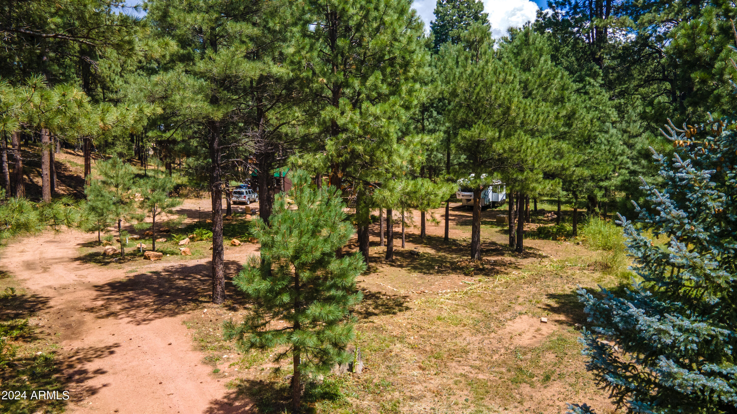 1225 Highway Loop Forest Lakes, AZ 85931 - Photo 3 of 45