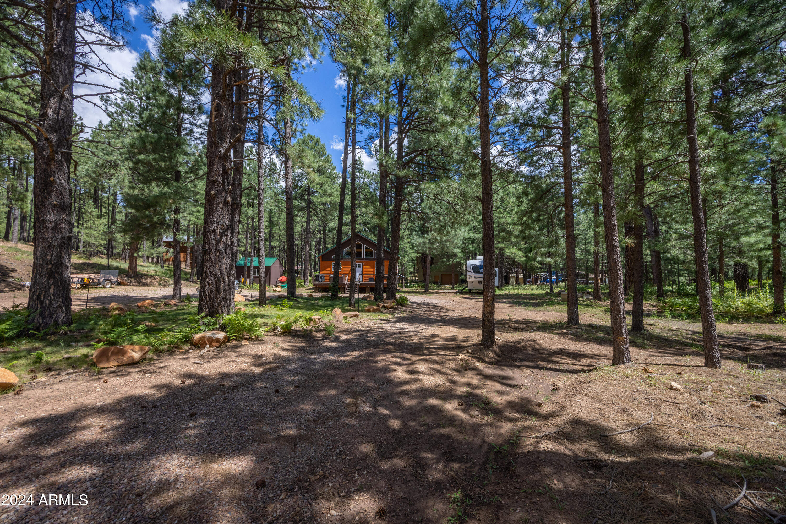 1225 Highway Loop Forest Lakes, AZ 85931 - Photo 38 of 45 a view of park with trees