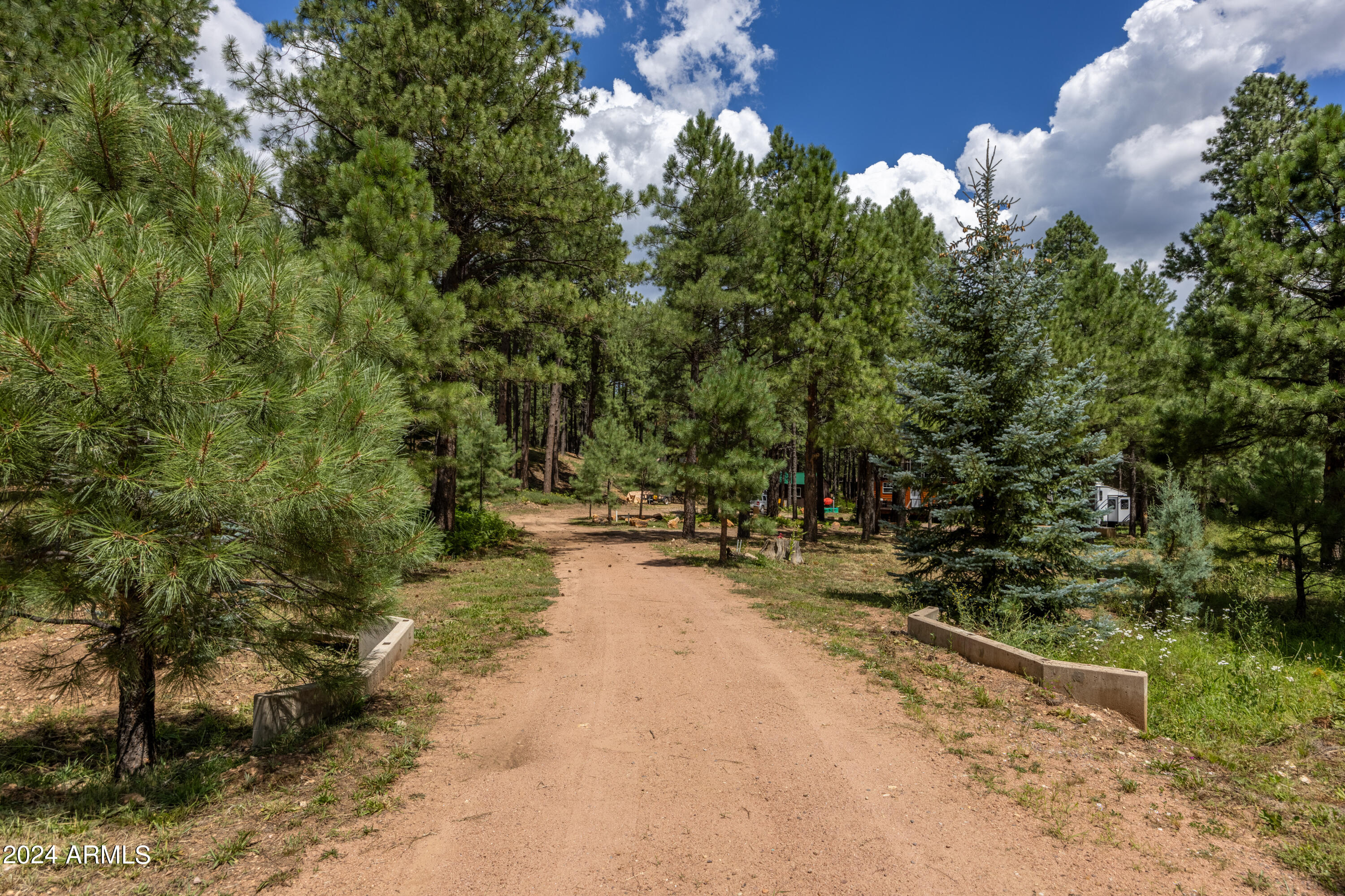 1225 Highway Loop Forest Lakes, AZ 85931 - Photo 40 of 45 a view of a yard with a tree